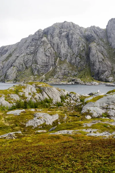 Berg Vid Havet Lofoten Norge Molnig Dag — Stockfoto