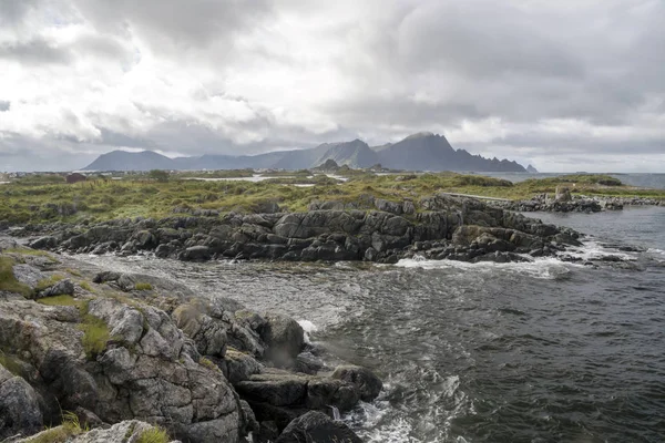 Berg Vid Havet Lofoten Norge Molnig Dag — Stockfoto