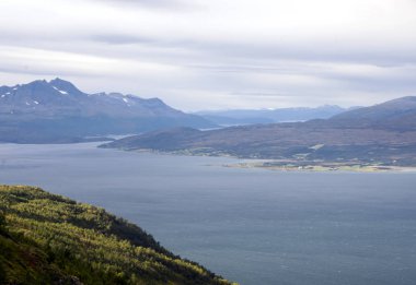 Bodo, Nordland, Norveç-Eylül 2016. Bulutlu bir günde Bodo liman. BOD olduğunu bir yerleşim yeri ve Norveç, Nordland il ve ikinci başkenti bir şehir Nord-Norge bölgedeki en kalabalık şehir.