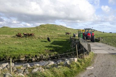 Stavanger, Norveç-Eylül 2016. Bulutlu bir günde Norveç alanların. Bir adam bir traktör sürücüleri.