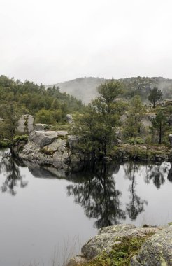 Norveç Güney güneşli bir dağda.