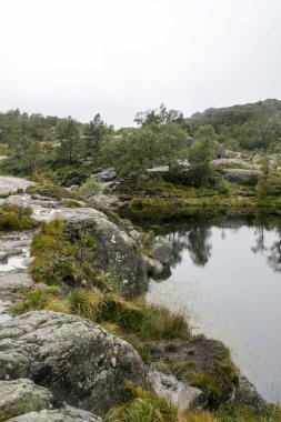 Norveç Güney güneşli bir dağda.