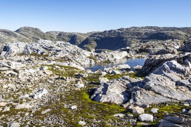 Norveç Güney güneşli bir dağda.
