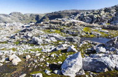 Norveç Güney güneşli bir dağda.