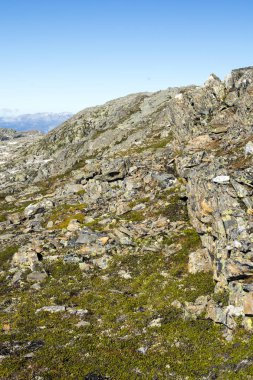 Norveç Güney güneşli bir dağda.