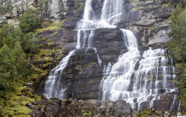 Ağaçları ile çevrili ormandaki nehir