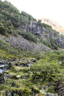 Bulutlu bir günde southern Norway iç dağlar.