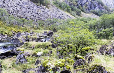Bulutlu bir günde southern Norway iç dağlar.