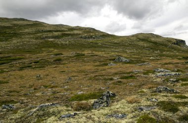 Bulutlu bir günde southern Norway iç dağlar.