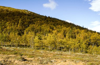 Bulutlu bir günde southern Norway iç dağlar.