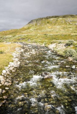 Bulutlu bir günde southern Norway iç Prairies Gölü.
