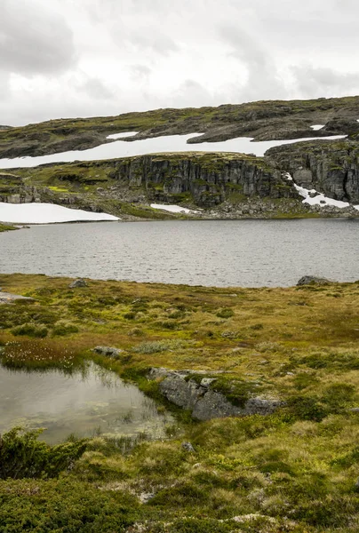 曇りの日にノルウェー南部のインテリアの大草原の湖 — ストック写真