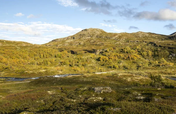 Bergen Het Binnenland Van Zuid Noorwegen Een Bewolkte Dag — Stockfoto