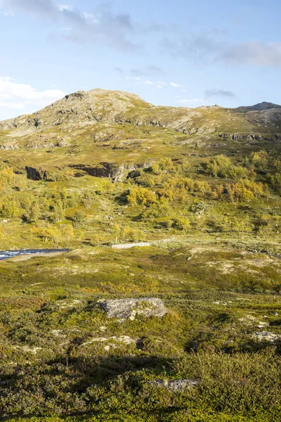 Bergen Het Binnenland Van Zuid Noorwegen Een Bewolkte Dag — Stockfoto