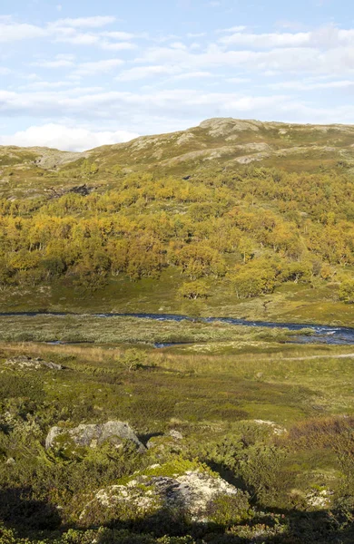 Bulutlu Bir Günde Southern Norway Dağlar — Stok fotoğraf