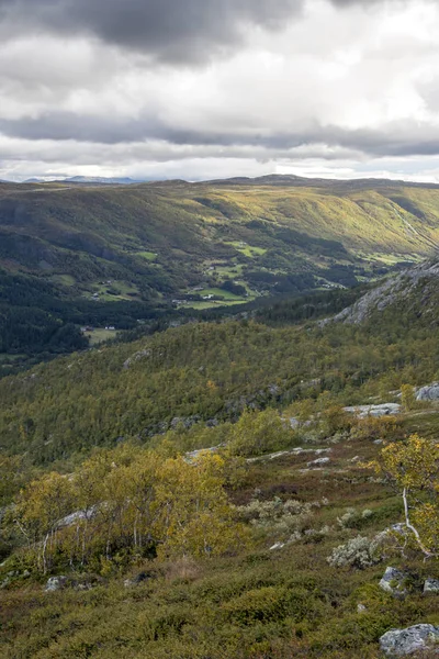 内曇りの日にノルウェー南部の山々 — ストック写真