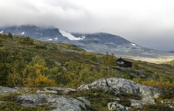 内曇りの日にノルウェー南部の山々 — ストック写真
