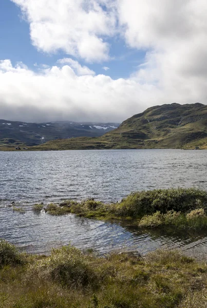 Fjorden Het Zuiden Van Noorwegen Een Zonnige Dag — Stockfoto