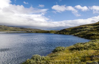 Norveç Güney güneşli bir günde fiyortları