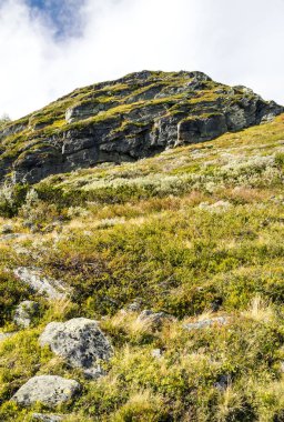Bulutlu bir günde southern Norway iç dağlar.