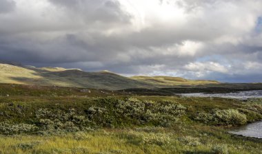 Bulutlu bir günde southern Norway iç Prairies Gölü.