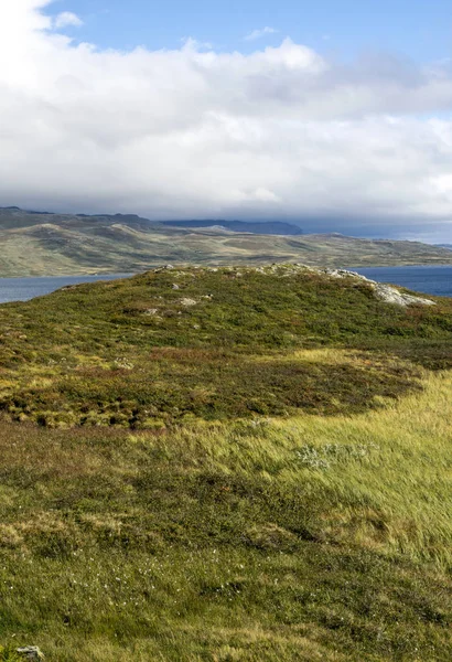 Bergen Het Binnenland Van Zuid Noorwegen Een Bewolkte Dag — Stockfoto