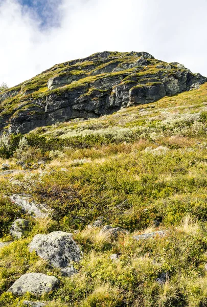 Hory Vnitrozemí Jižního Norska Zamračený Den — Stock fotografie