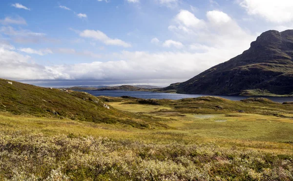 多云的一天 挪威南部内陆大草原上的湖泊 — 图库照片