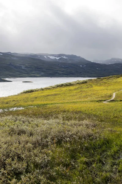 曇りの日にノルウェー南部のインテリアの大草原の湖 — ストック写真