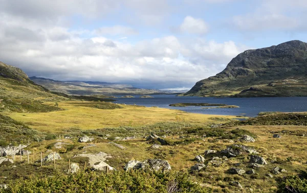 See Den Prärien Des Landesinneren Von Südnorwegen Einem Bewölkten Tag — Stockfoto