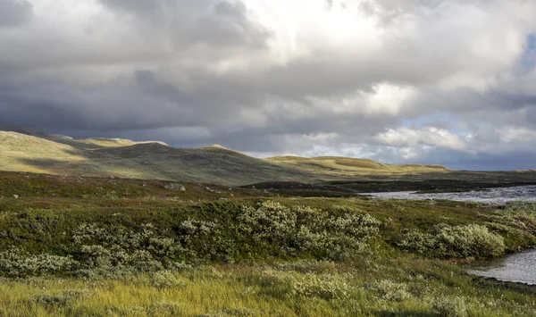 Lago Nelle Praterie Dell Interno Della Norvegia Meridionale Una Giornata — Foto Stock