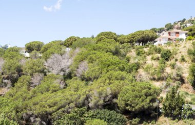 Güneşli bir günde Alella dağlar Barcelona, İspanya