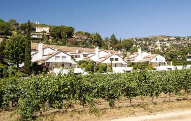Alella köyü. Alella Katalonya iline bağlı bölge. Maresme bölge il, Barselona'da ait. 