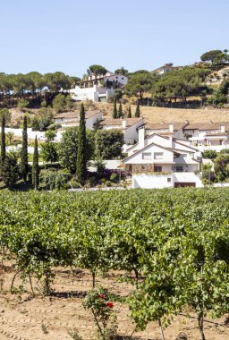 Alella köyü. Alella Katalonya iline bağlı bölge. Maresme bölge il, Barselona'da ait.