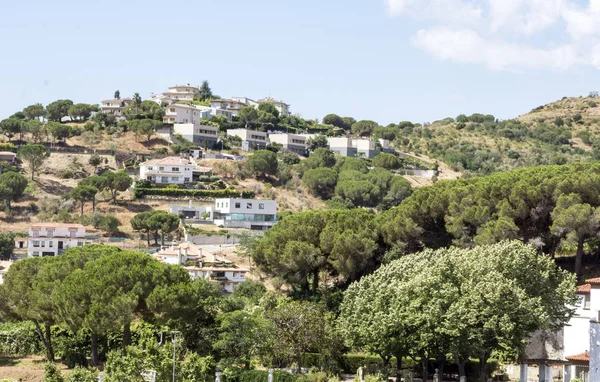 Villaggio Case Bianche Nella Sierra Malaga Spagna Una Giornata Sole — Foto Stock