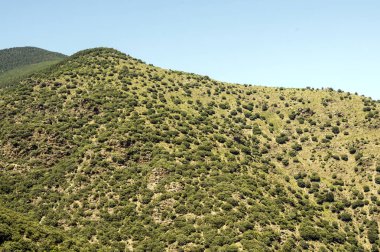 Güneşli bir günde Alella dağlar Barcelona, İspanya