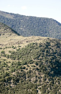 Güneşli bir günde Alella dağlar Barcelona, İspanya
