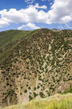 Güneşli bir günde Alella dağlar Barcelona, İspanya