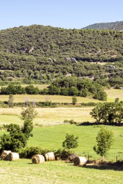 Güneşli bir günde Alella dağlar Barcelona, İspanya