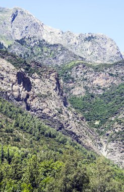 Güneşli bir günde Alella dağlar Barcelona, İspanya