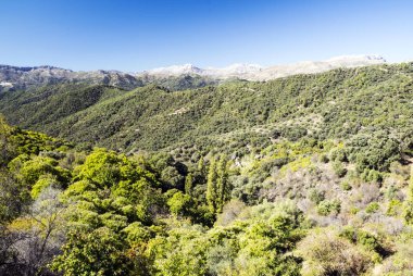 İspanya Cordoba dağlar güneşli bir dağ silsilesi