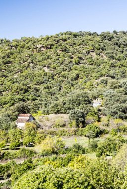 İspanya Cordoba dağlar güneşli bir dağ silsilesi