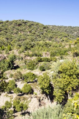 İspanya Cordoba dağlar güneşli bir dağ silsilesi