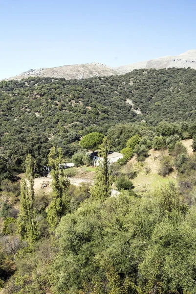 İspanya Cordoba dağlar güneşli bir dağ silsilesi