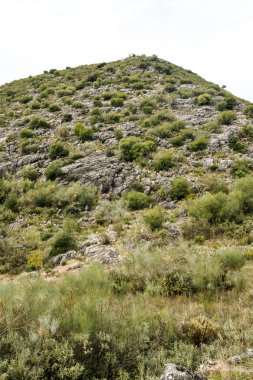 İspanya Cordoba dağlar güneşli bir dağ silsilesi