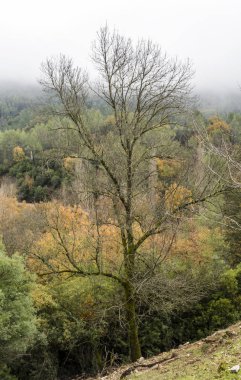 Jaen İspanyol il güneşli bir günde Sierra de Cazorla dağlarında.