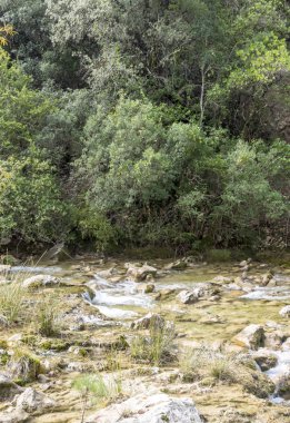 Güneşli bir günde Sierra de Cazorla Jaen İspanyol il içinde Guadalquivir Nehri başlangıcı.