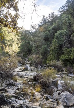 Güneşli bir günde Sierra de Cazorla Jaen İspanyol il içinde Guadalquivir Nehri başlangıcı.