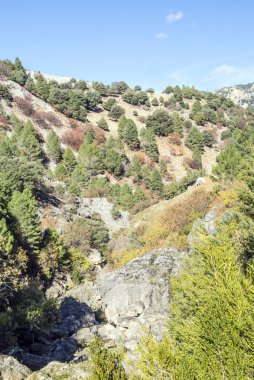 Jaen İspanyol il güneşli bir günde Sierra de Cazorla dağlarında.