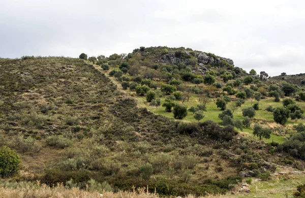 Spanya Cordoba Dağlar Güneşli Bir Dağ Silsilesi — Stok fotoğraf